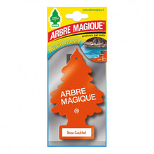 Afbeelding in Gallery-weergave laden, Arbre Magique Wonderboom luchtverfrisser Ibiza Cokctail oranje
