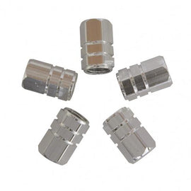 Carpoint ventieldoppen Zuiger zilver 16 mm 5 stuks